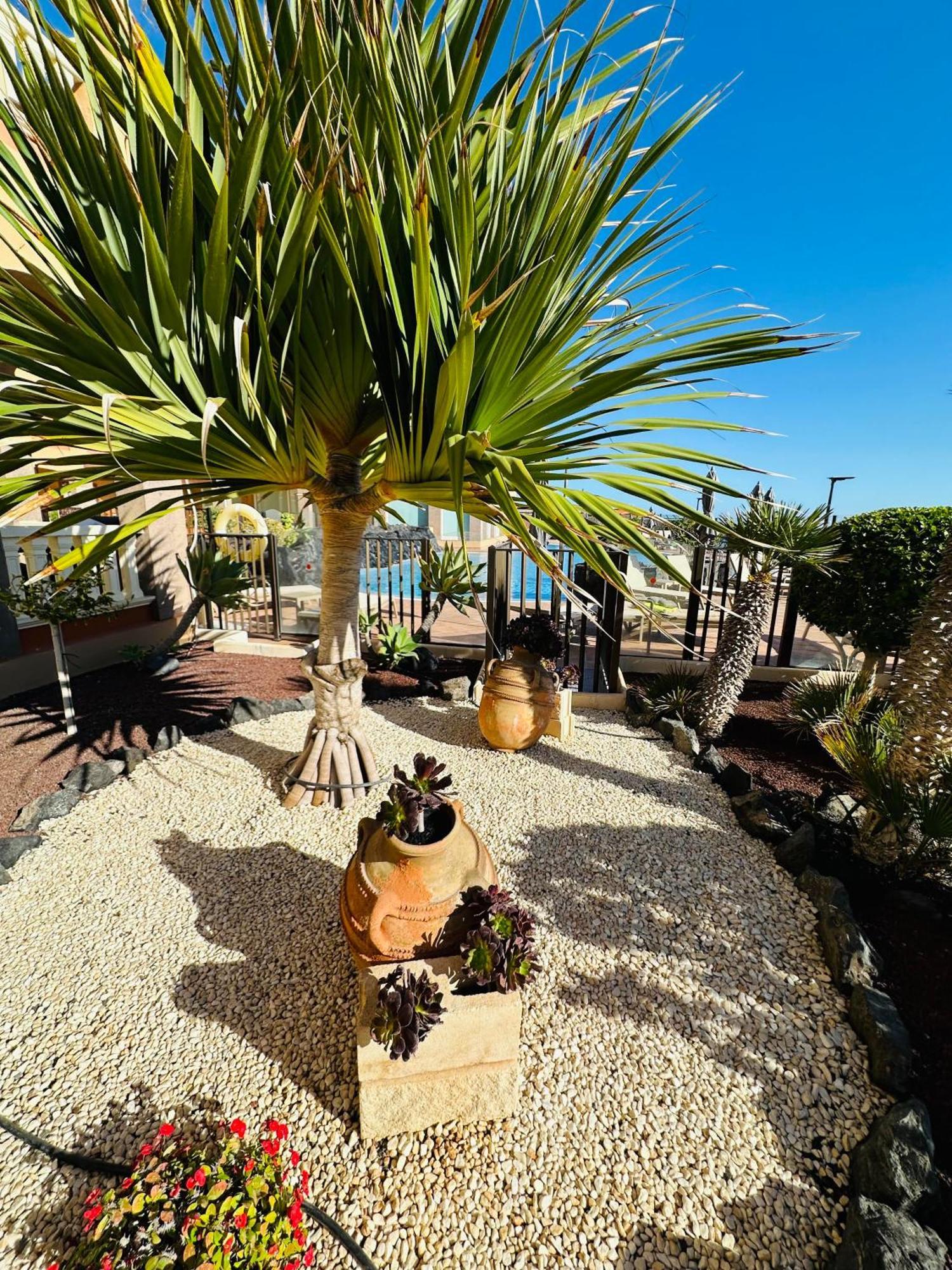 El Nautico Coral Suites San Miguel de Abona Exterior foto