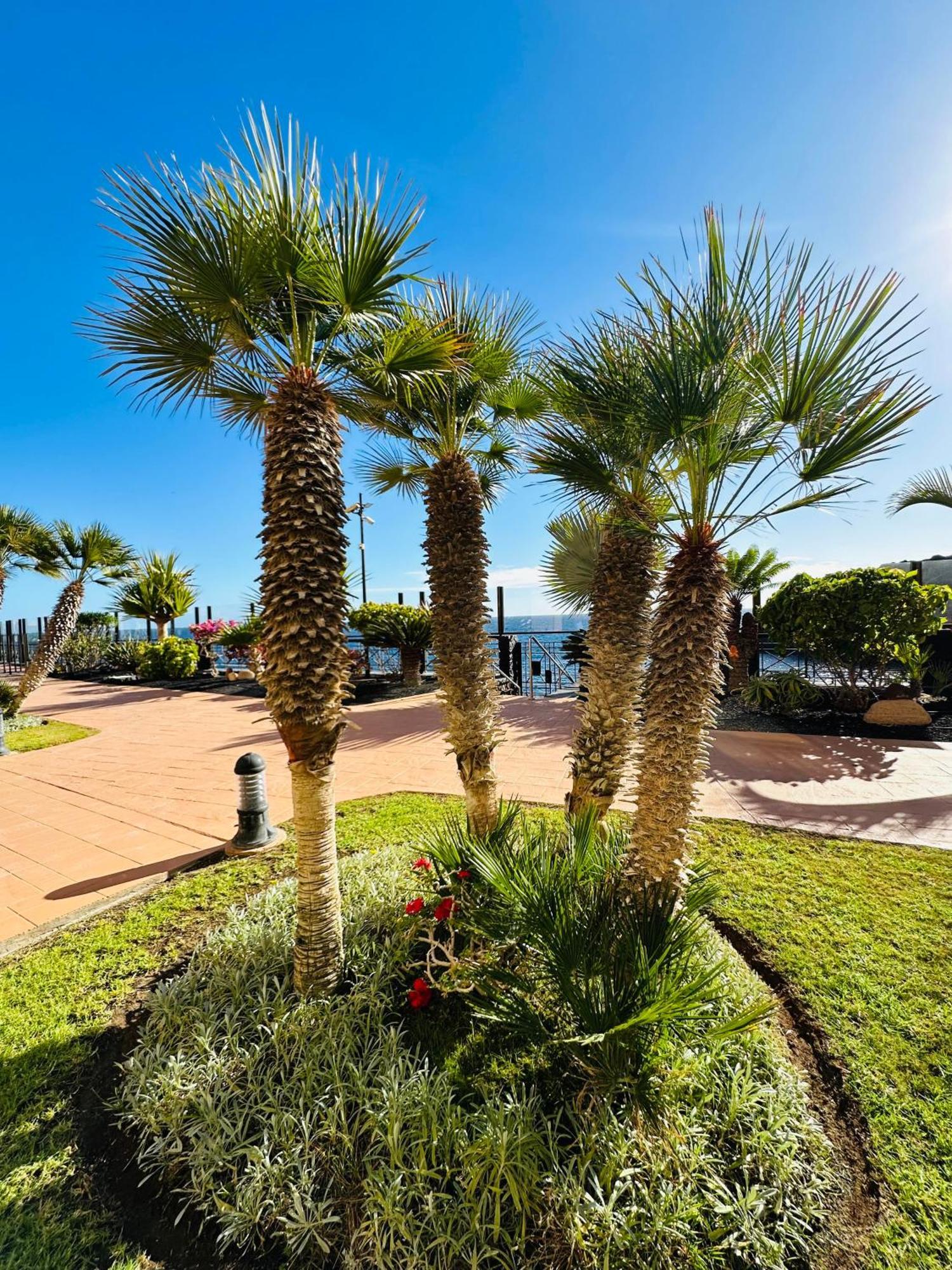 El Nautico Coral Suites San Miguel de Abona Exterior foto
