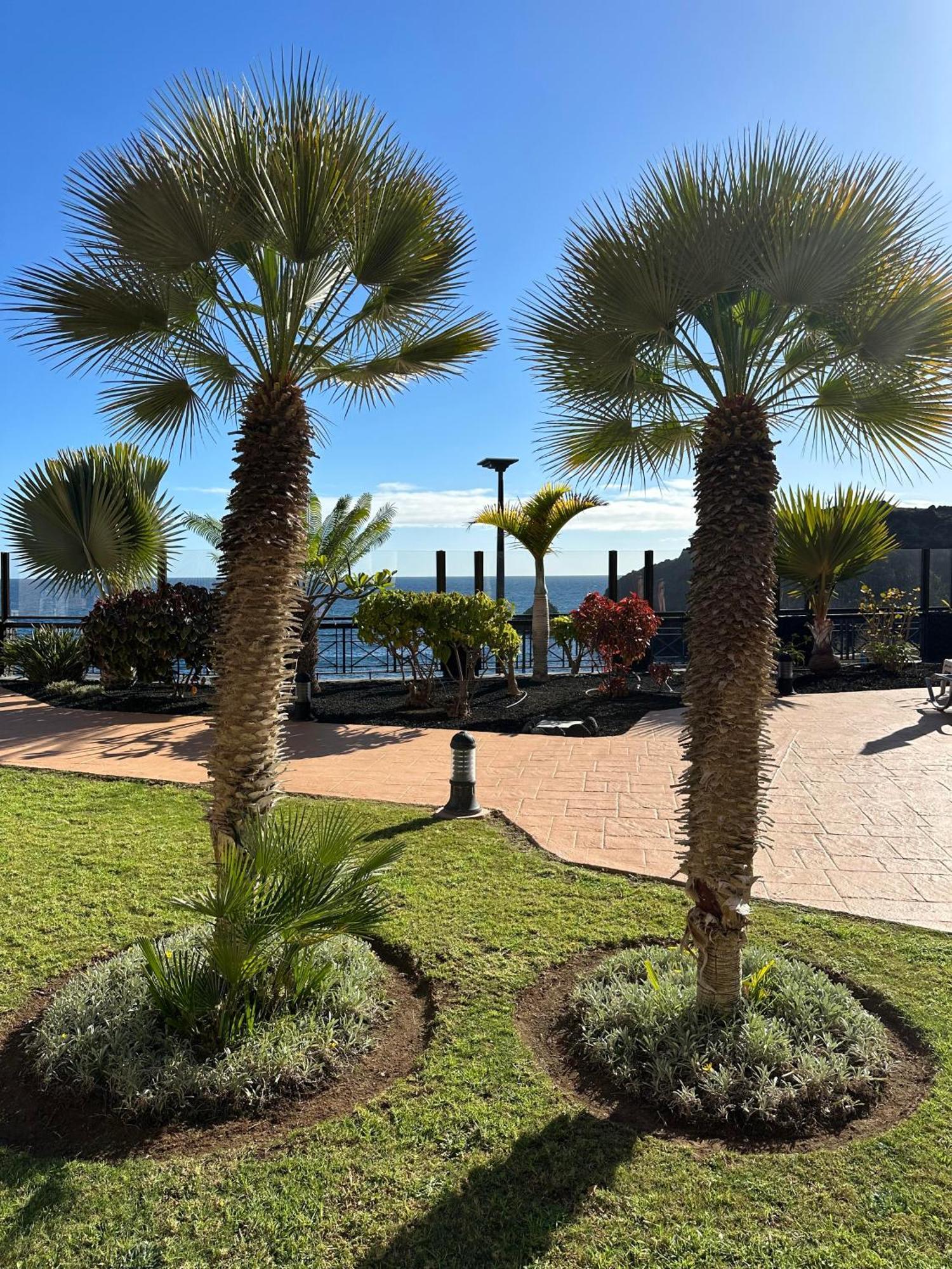El Nautico Coral Suites San Miguel de Abona Exterior foto